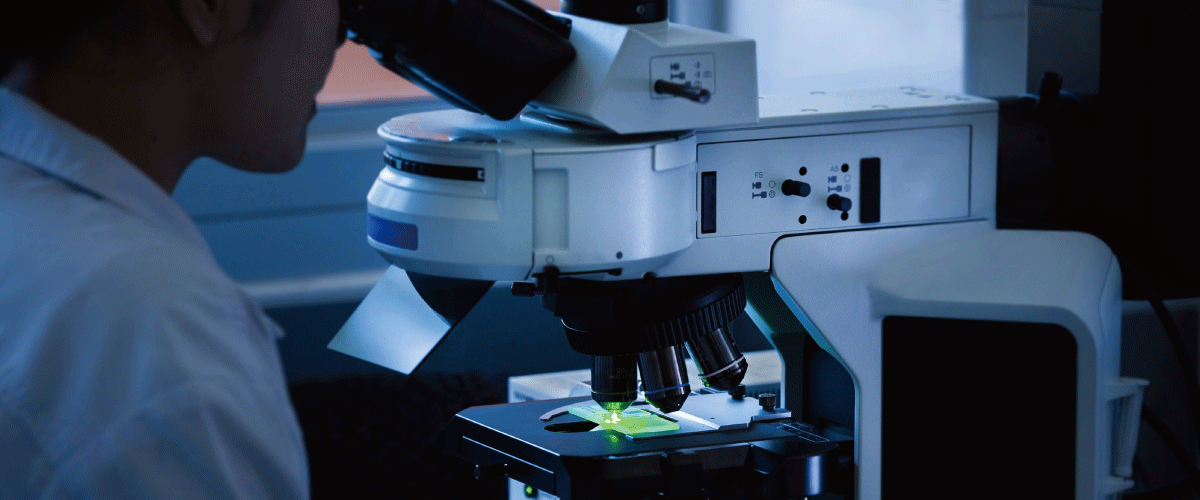 蛍光顕微鏡のイメージ